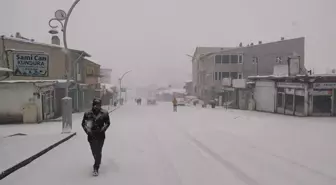 Yoğun kar nedeniyle kapanan Van-Hakkari kara yolu açıldı