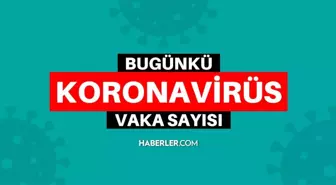 Bugünkü vaka sayısı kaç oldu? 11 Şubat 2022 koronavirüs tablosu yayınlandı! Türkiye'de bugün kaç kişi öldü? Bugünkü Covid tablosu açıklandı mı?