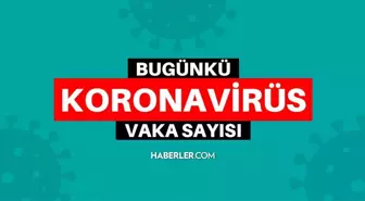 Bugünkü vaka sayısı kaç oldu? SON DAKİKA 14 Şubat 2022 koronavirüs tablosu yayınlandı! Türkiye'de bugün kaç kişi öldü? Bugünkü Covid tablosu açıklandı