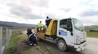 İhsaniye - Yalakdere arasında ağaçlandırma devam ediyor