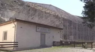 ŞANLIURFA - Koruma altındaki kelaynaklar üreme dönemi için doğaya bırakıldı