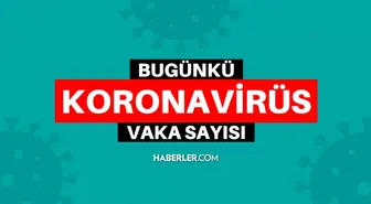 16 Şubat bugünkü koronavirüs tablosu! SON DAKİKA Bugünkü vaka sayısı, vefat sayısı kaç? Türkiye'de bugün kaç kişi öldü? Covid tablosu açıklandı