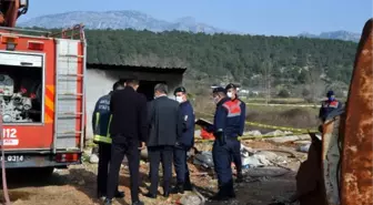 Sahibi yangında öldü, yavru köpekleri jandarma aldı