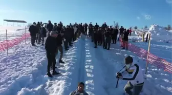 KASTAMONU - 600 yıllık kızak yarışlarında kar hasreti bitti