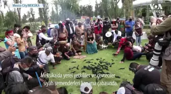 Koruma Altında Yetiştirilen Semenderler Doğaya Bırakıldı