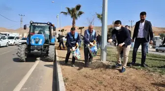 Cizre'de toplumsal duyarlılık etkinlikleri yapıldı