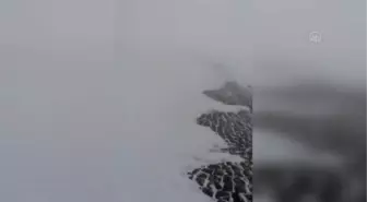 Doğaseverler Nemrut Kalderası'nda kamp yaptı