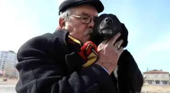 Faik amca Zeytin'ine kavuştu