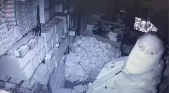 Pokemon kartları çalan hırsız mağaza sahibini yüz binlerce dolarlık zarara uğrattı