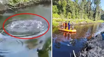 Nehirden bir anda fırladı, balıklar bile kaçacak yer aradı! Timsahın, adamı yediği korkunç anlar