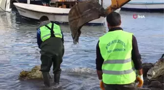 Bodrum'da kaçak iskeleler yıkılıyor... 46 adet iskelenin yıkımına başlandı