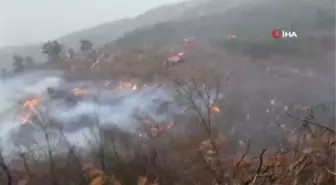 İskenderun'da orman yangını...Bölgedeki fırtına yangın söndürme ekiplerine zor anlar yaşatıyor