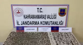 Kahramanmaraş'ta tarihi eser niteliğinde 3 bin 879 eser ele geçirildi