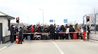 Ukrayna'nın işgali: Kendi başlarına kalan çocuklar, geride bırakılan ebeveynler