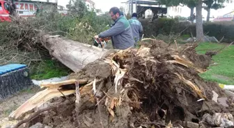 Antalya'da hortumun vurduğu mahallede dehşet gün ağarınca ortaya çıktı