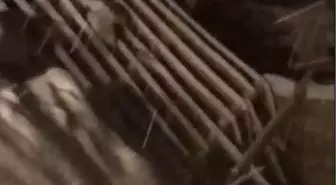 Burdur'da karın ağırlığına dayanamayan ahırın çatısı çöktü