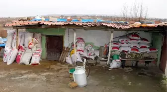 Çifte cinayette gizli tanık: Kadının annesi 'cesetleri ormanda bırakmasaydınız' dedi