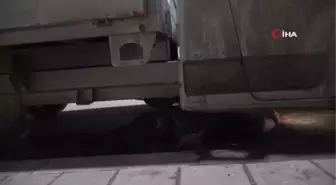 Kaçan kediyi kurtarmak için sahibi aracın altına girdi