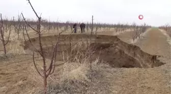 Karaman'da oluşan dev obruk, elma ağaçlarını yuttu