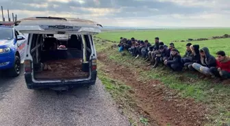 Kilis'te düzensiz göçmen kaçakçılığı