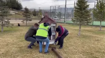 Kuşlar için 'dubleks evler' yerleştiriliyor