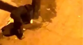 Makasla kesti, çöp kovalarını böyle çalmaya kalkıştı