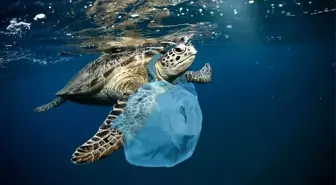 'Plastik krizinin' çözümü için umut doğdu: BM üyeleri uluslararası anlaşma için müzakerelere başlayacak