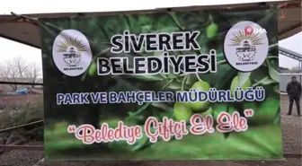 Siverek'te çiftçilere meyve fidanı dağıtıldı