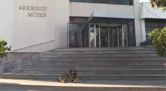 2 bin 300 yaşındaki 'Kybele' ile aslan heykelleri, ziyaretçilerini ağırlıyor