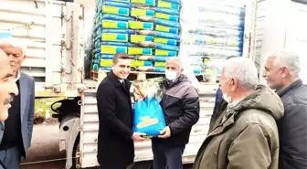Çiftçilerde silajlık mısır tohumu sevinci