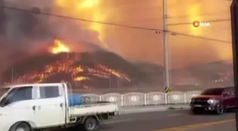 Son dakika... Güney Kore'deki orman yangını Hanul Nükleer Santrali yakınına ulaştı