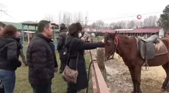 Seyahat acenteleri Kastamonu'daki at çiftliklerine hayran kaldı