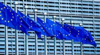 Kopenhag kriterleri nedir?