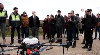 Tohumlar dronela gübrelendi... Aksu Çiftliği'nde drone ile katı gübre uygulaması