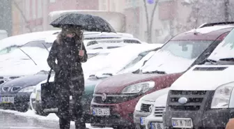 Giresun'da kar yağışı etkili oluyor