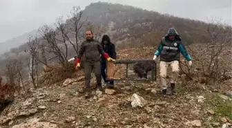 TEDAVİLERİ TAMAMLANAN YABAN HAYVANLARI HAKKARİ'DE DOĞAYA SALINDI