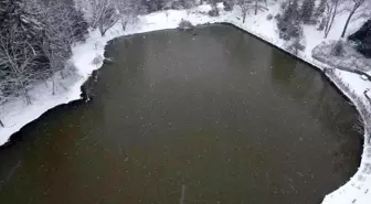 Atatürk Arboretumu'nda kartpostallık kar manzaraları