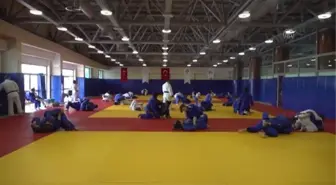 Judoda Kovid-19 salgını nedeniyle kaybedilen ivme bu yıl telafi edilecek