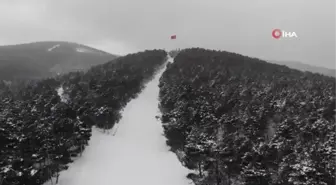 Kar yağışı sonrası Aydos Ormanı'ndan eşsiz görüntüler