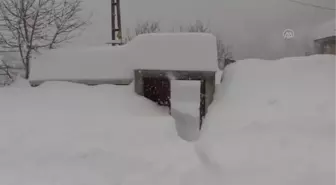 Kastamonu'da araçlar 1,5 metreye yaklaşan karın altında kaldı