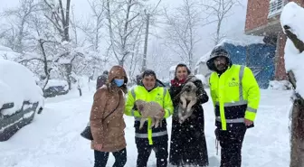 Fatsa'da sokak hayvanları unutulmadı