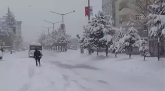 Ahlat'ta kar yağışı etkili oldu