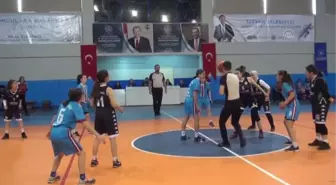 'Basketbol Gençler B Kategorisi Grup Yarışmaları' Tatvan'da başladı