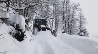 Doğu Karadeniz'de kış sert geçiyor