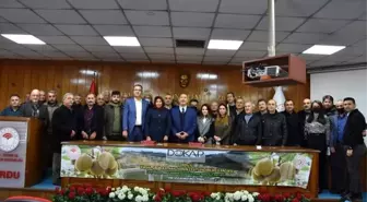 Son dakika: Ordu'ya yeni kivi üretim alanları kazandırılıyor