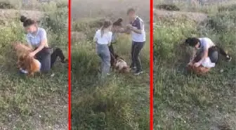 Elif Çakal uçurumdan düşüp ölmüştü! Arkadaşları hakkında istenen ceza belli oldu