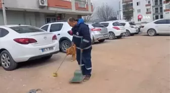 Sokak hayvanları temizlik görevlisinin en yakın dostu oldu