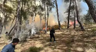 Göcek'te orman yangını (1)