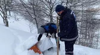 Trabzon ve Ordu'da sahipsiz hayvanlar için doğaya yem bırakıldı