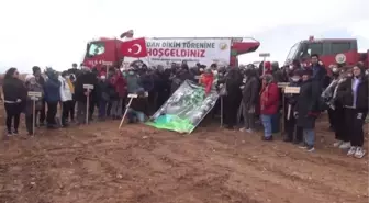 Yanan ormanlara Kovid-19'dan yaşamını yitiren sağlıkçılar anısına fidan dikildi